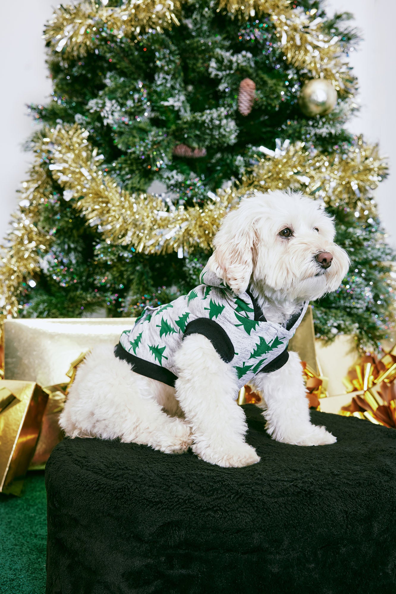 Pup Under The Tree Dog Hoodie - Green/combo Hot On Sale